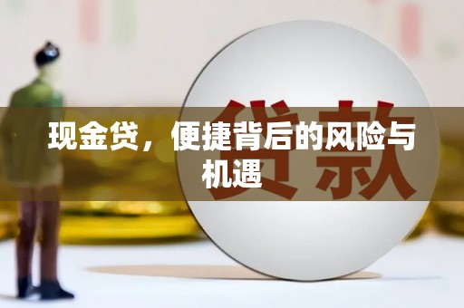 彰化市现金贷，便捷背后的风险与机遇