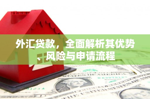 彰化市外汇贷款，全面解析其优势、风险与申请流程