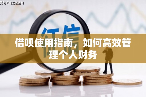 彰化市借呗使用指南，如何高效管理个人财务