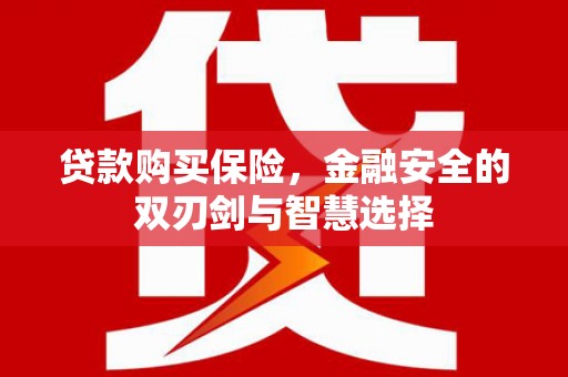 彰化市贷款购买保险，金融安全的双刃剑与智慧选择