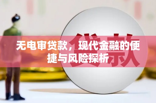彰化市无电审贷款，现代金融的便捷与风险探析