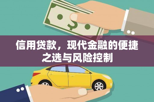 彰化市信用贷款，现代金融的便捷之选与风险控制