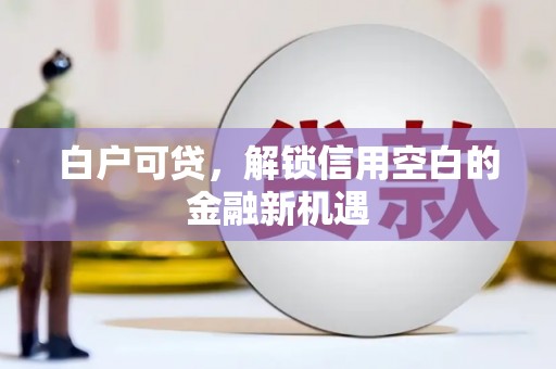 彰化市白户可贷，解锁信用空白的金融新机遇