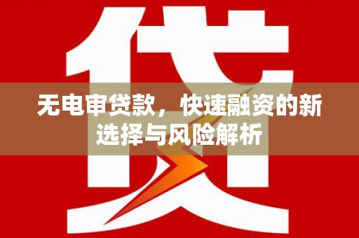 彰化市无电审贷款，快速融资的新选择与风险解析