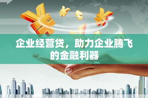 彰化市企业经营贷，助力企业腾飞的金融利器