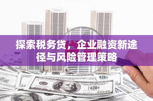 彰化市探索税务贷，企业融资新途径与风险管理策略