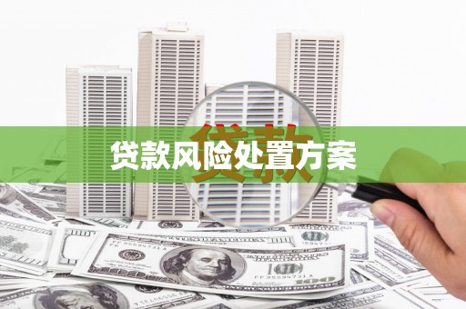 彰化市贷款风险处置方案