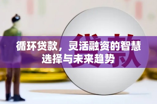 彰化市循环贷款，灵活融资的智慧选择与未来趋势