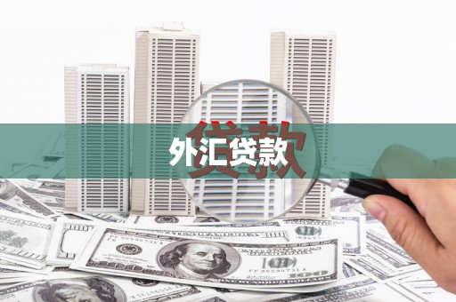 彰化市外汇贷款