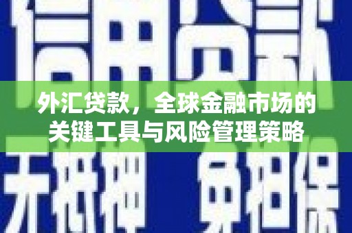 彰化市外汇贷款，全球金融市场的关键工具与风险管理策略