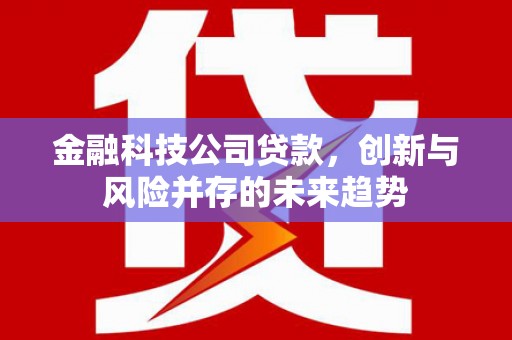 彰化市金融科技公司贷款，创新与风险并存的未来趋势