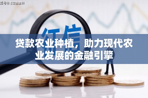 彰化市贷款农业种植，助力现代农业发展的金融引擎