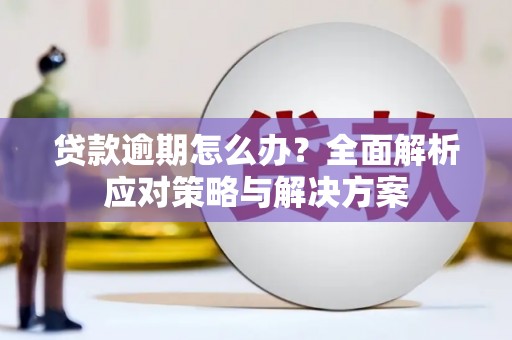 彰化市贷款逾期怎么办？全面解析应对策略与解决方案