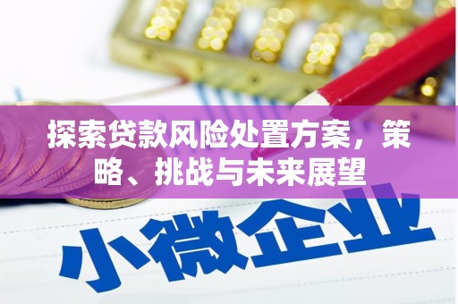 彰化市探索贷款风险处置方案，策略、挑战与未来展望