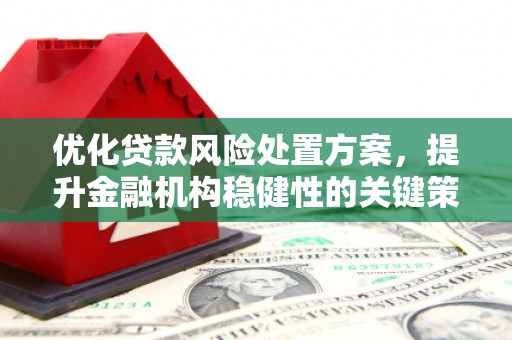 彰化市优化贷款风险处置方案，提升金融机构稳健性的关键策略