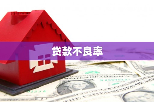 彰化市贷款不良率