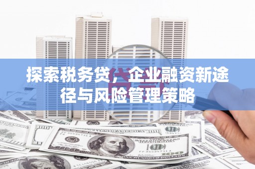 彰化市探索税务贷，企业融资新途径与风险管理策略