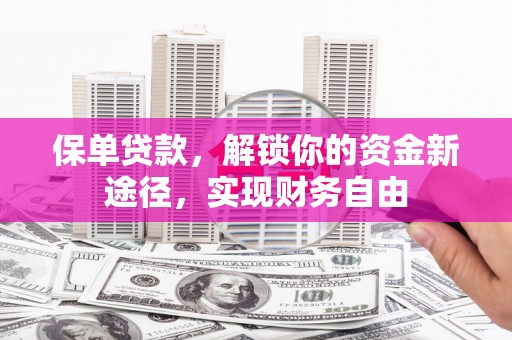 彰化市保单贷款，解锁你的资金新途径，实现财务自由
