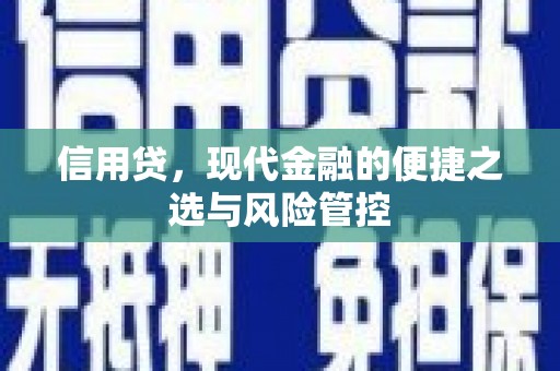 彰化市信用贷，现代金融的便捷之选与风险管控
