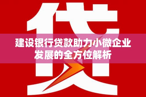 彰化市建设银行贷款助力小微企业发展的全方位解析