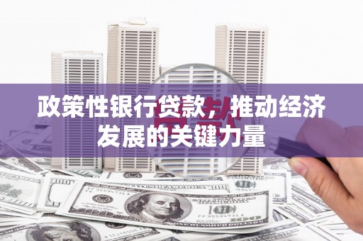彰化市政策性银行贷款，推动经济发展的关键力量