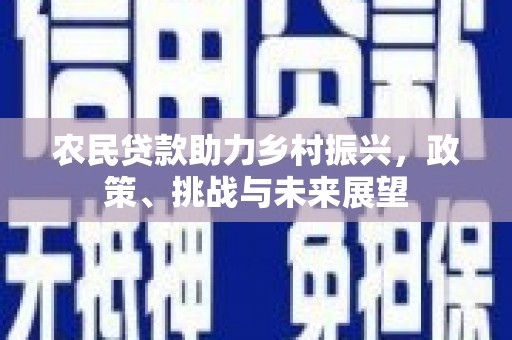 彰化市农民贷款助力乡村振兴，政策、挑战与未来展望