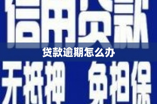 彰化市贷款逾期怎么办