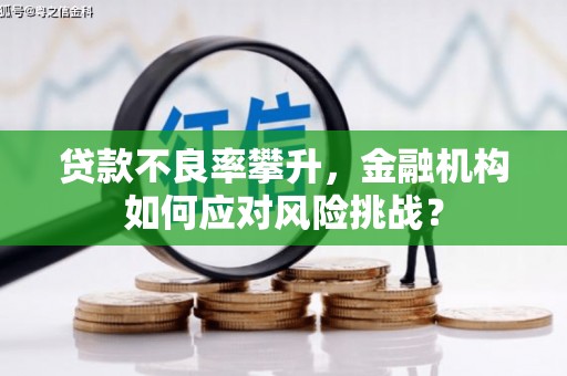 彰化市贷款不良率攀升，金融机构如何应对风险挑战？