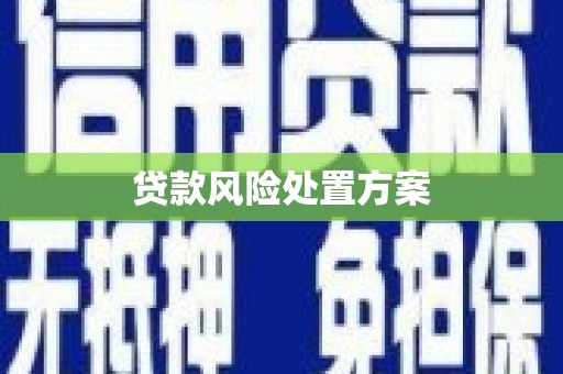 彰化市贷款风险处置方案