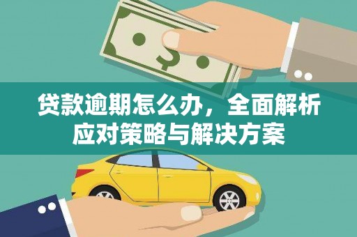 彰化市贷款逾期怎么办，全面解析应对策略与解决方案